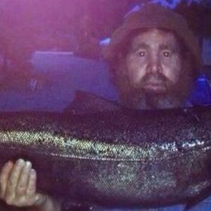 Meet your Posher, Doug